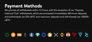 321Crypto casino payment methods