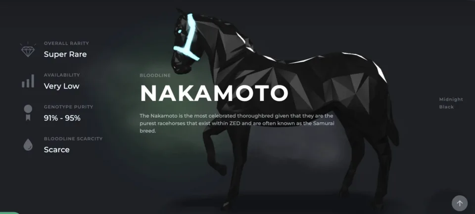 NFT horse racing digital horse racing