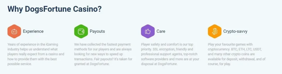 why dogsfortune casino