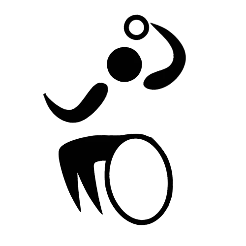 Wheelchair Handball