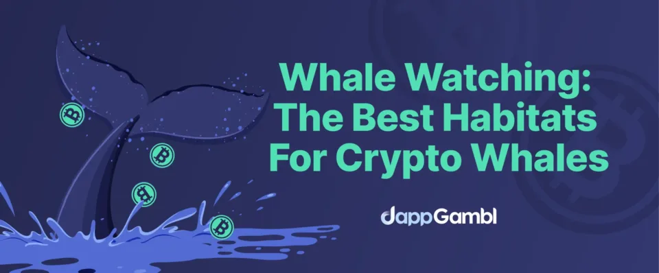 crypto whale watching header
